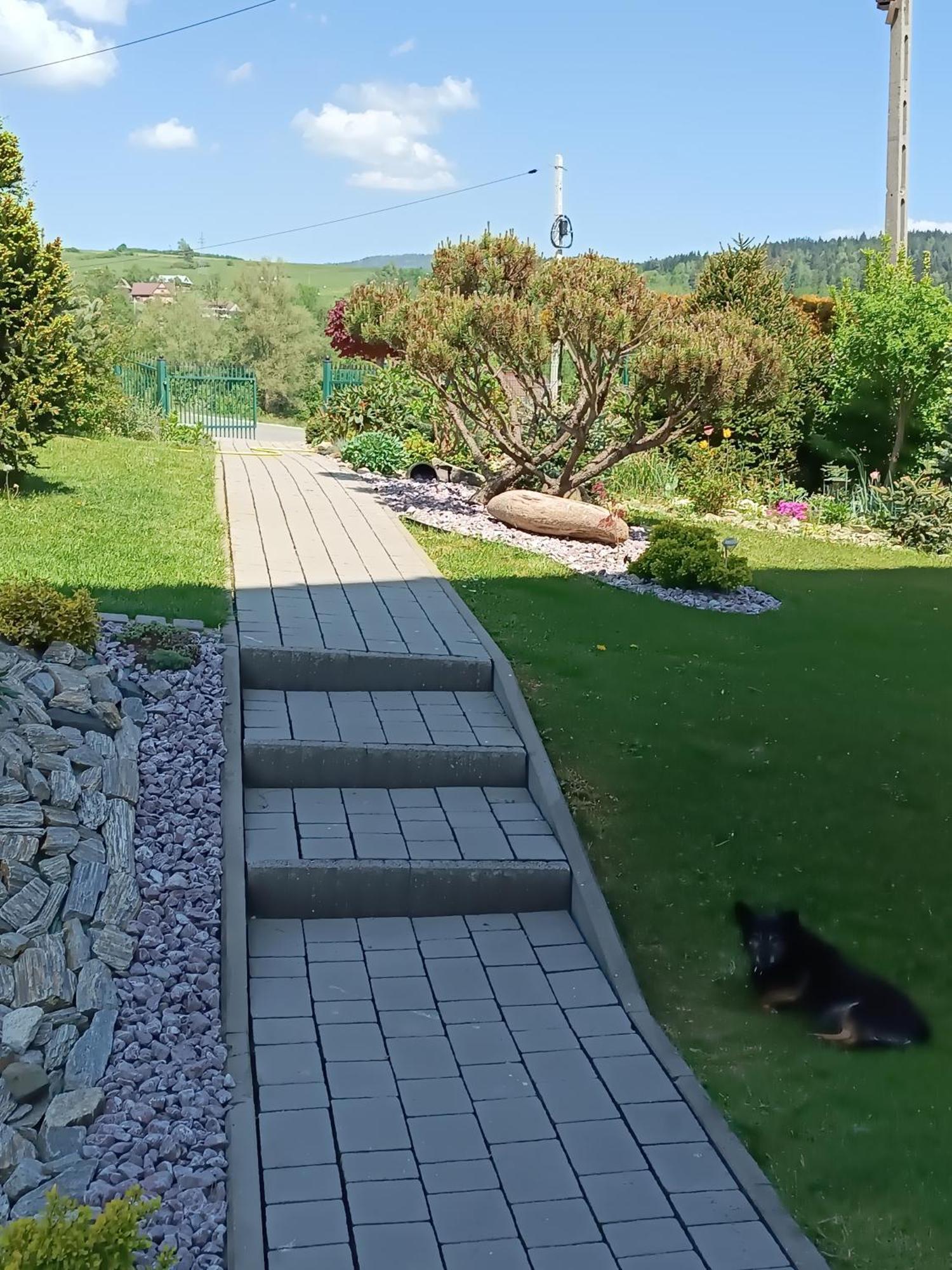 Stas-Przy Szkole Nr3 W Skawie Skawa Экстерьер фото